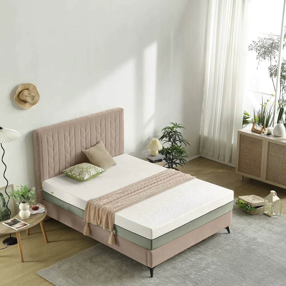 25TM-01 | 2022 Best Valued Green Tea Memory Foam mattress for Adult 10inch