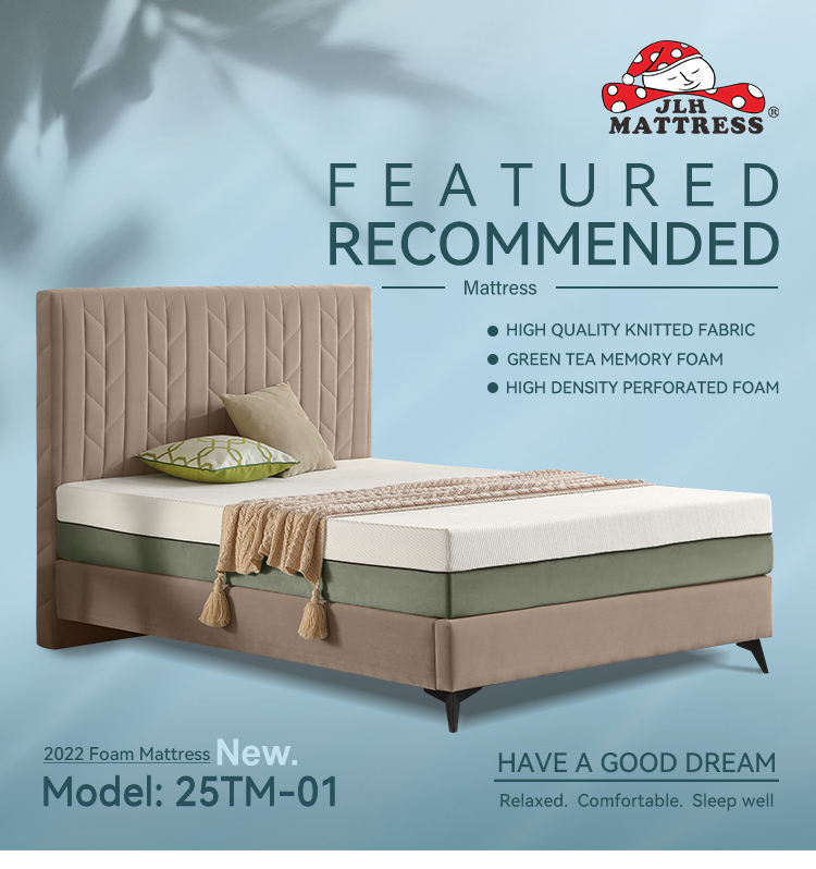 product-25TM-01 Best Valued Green Tea Memory Foam mattress for Adult 10inch-JLH-img