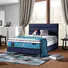 best roll up floor mattress Certified for guesthouse