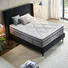 New euro spring mattress Wholesale company