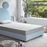 Time Capsule spring mattress sizes Wholesale company