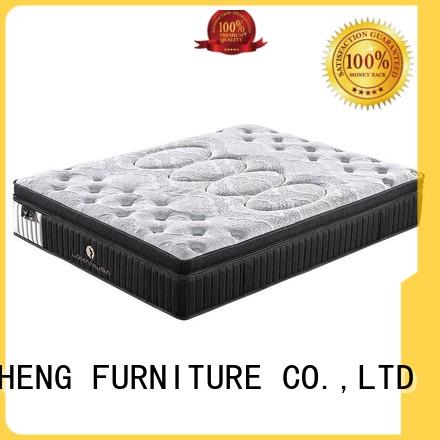 top mattress in a box reviews cost with elasticity